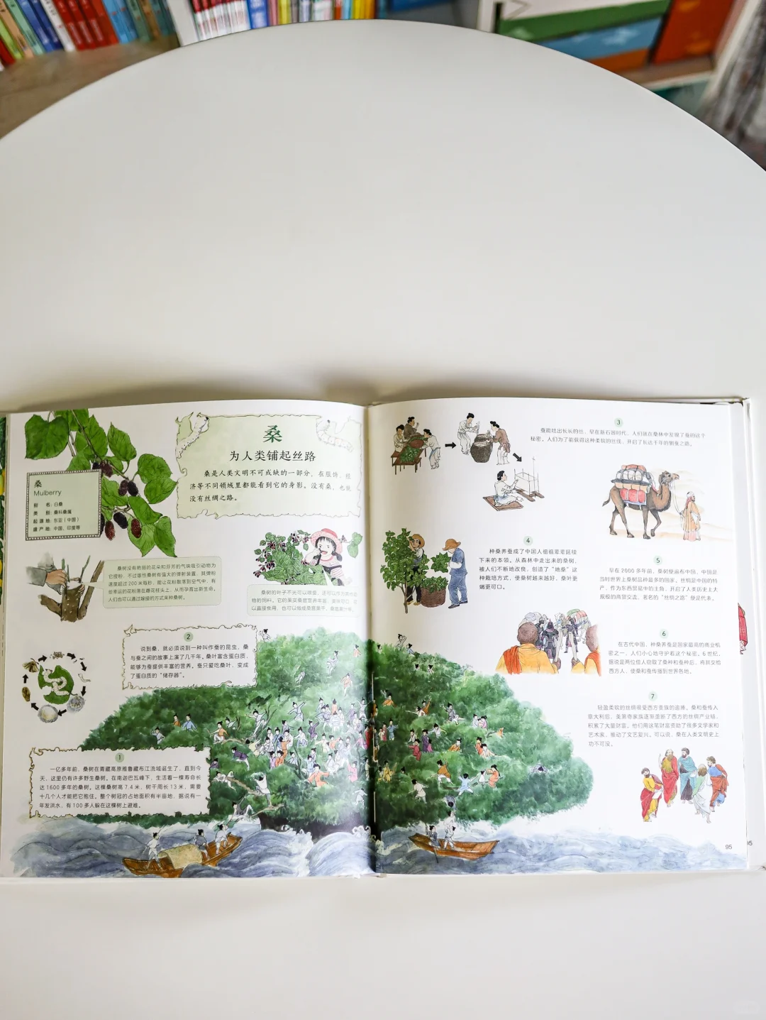 翻开《作物起源》解锁60种作物的环球旅行记!