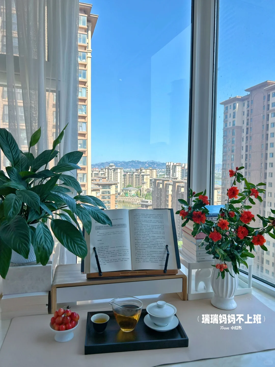 36岁,家是我的能量场,独处是灵魂的充电站✨