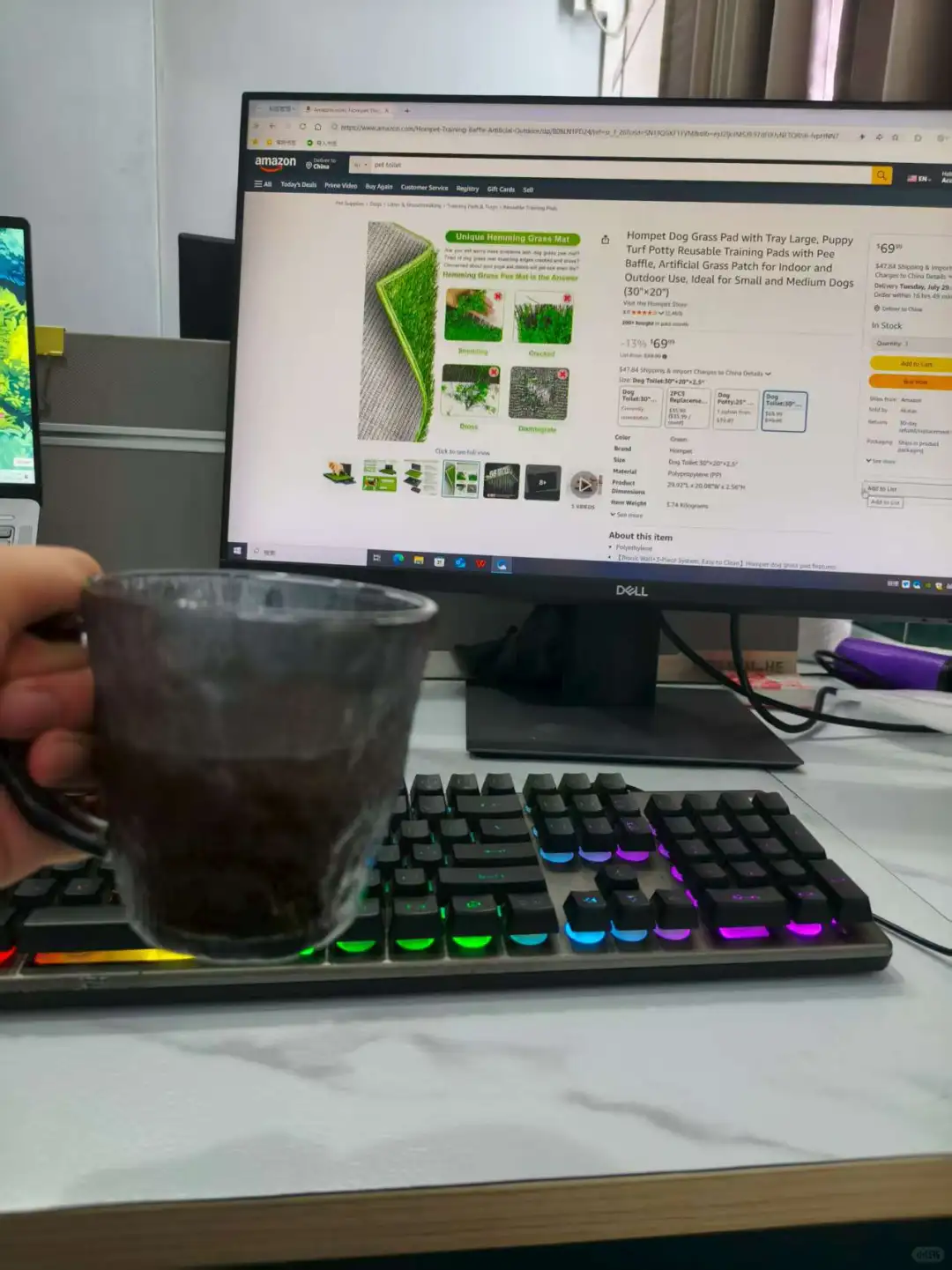 05佛大在读大学生|勇闯宠物行业