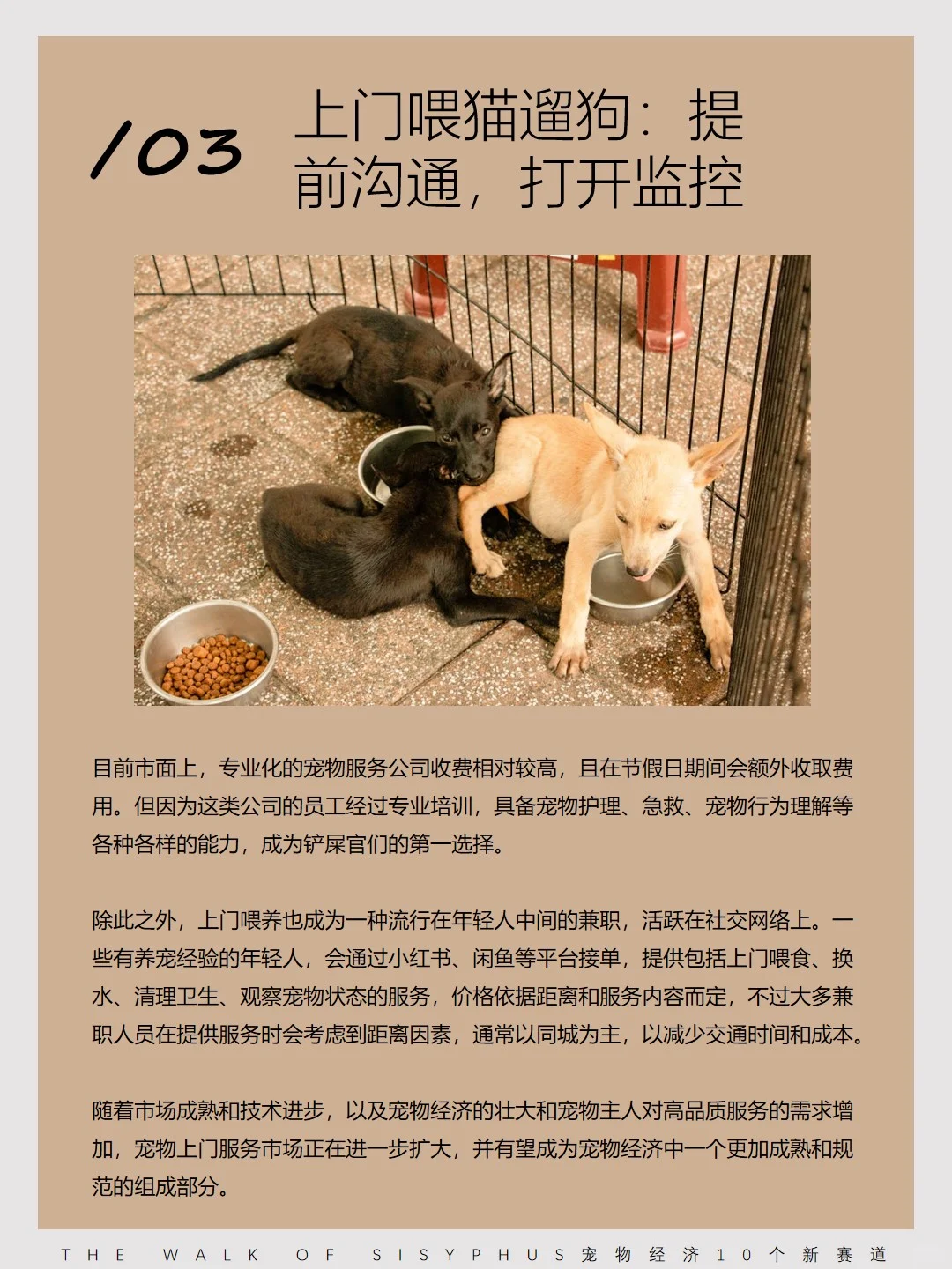 商业洞察｜宠物经济10 个新赛道