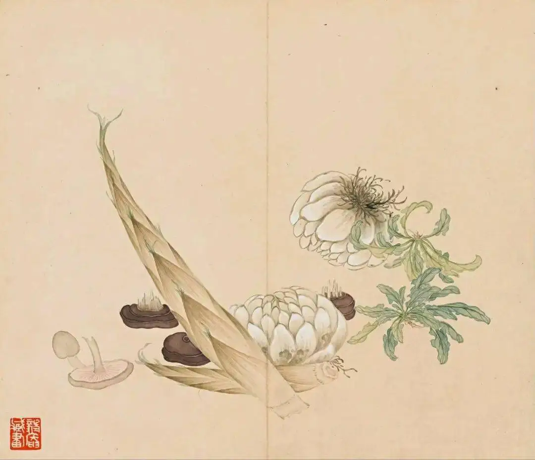 清｜汪承霈｜果蔬杂卉册