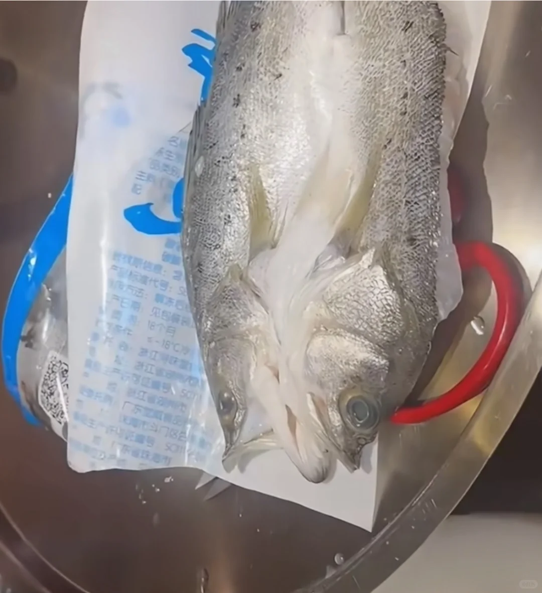 西贝口中的中央厨房“们”