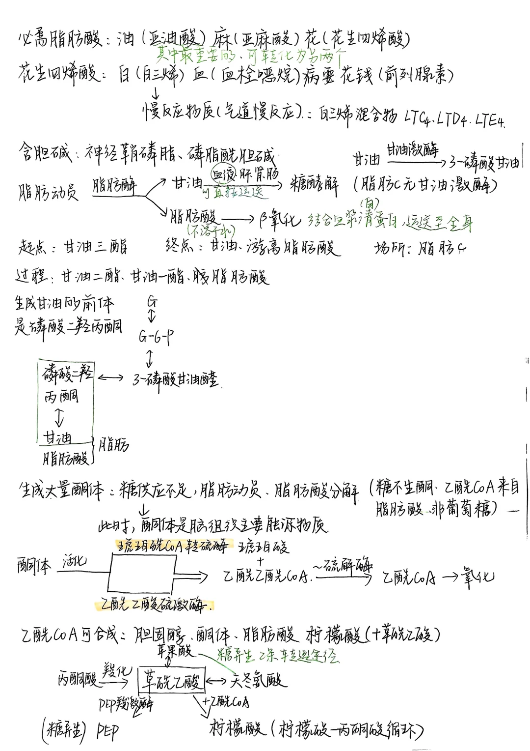 生物化学|笔记合集
