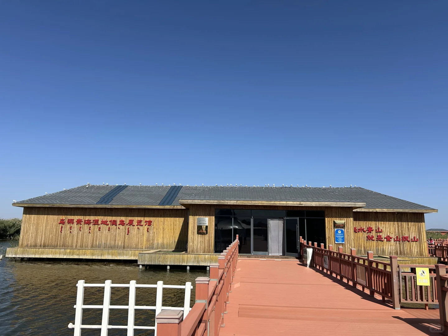 乌梁素海(内蒙·巴彦淖尔·乌拉特前旗)