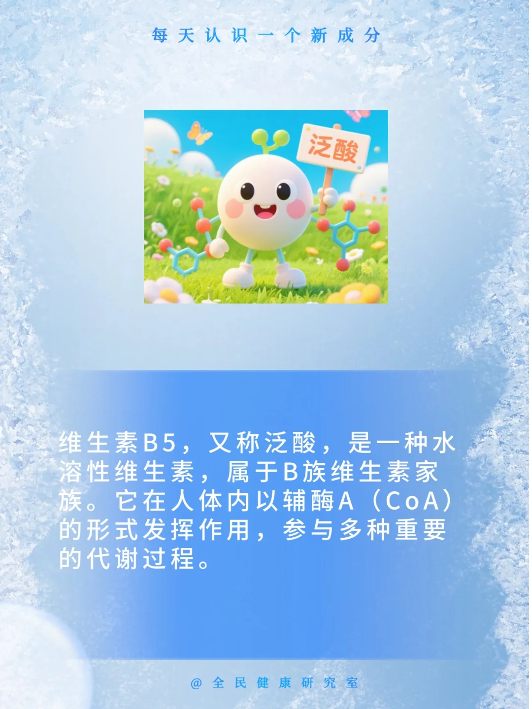 泛酸（维生素B5）：关于这个低调的多面手，你了