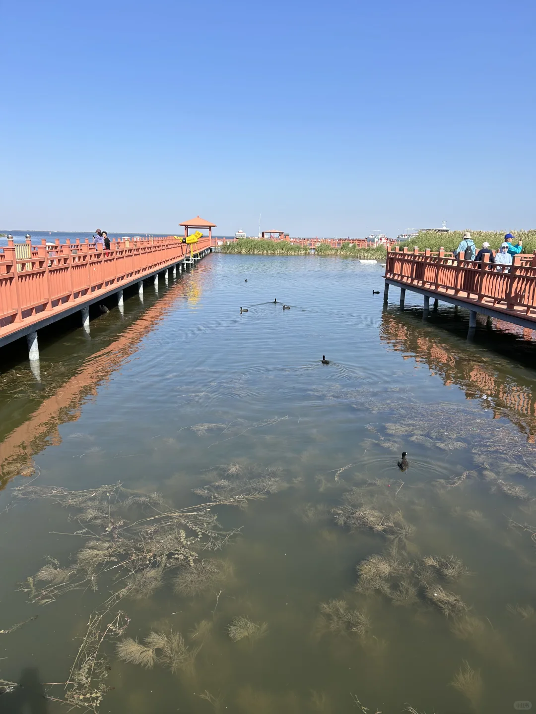 乌梁素海(内蒙·巴彦淖尔·乌拉特前旗)