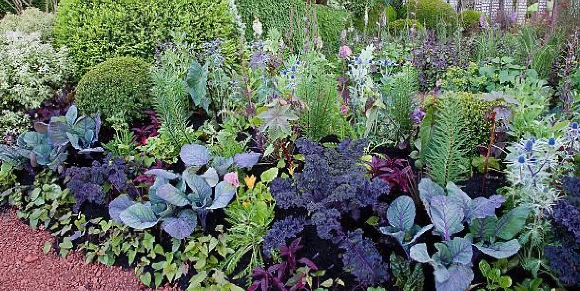 14个缤纷可食花园场景·蔬菜搭配美学