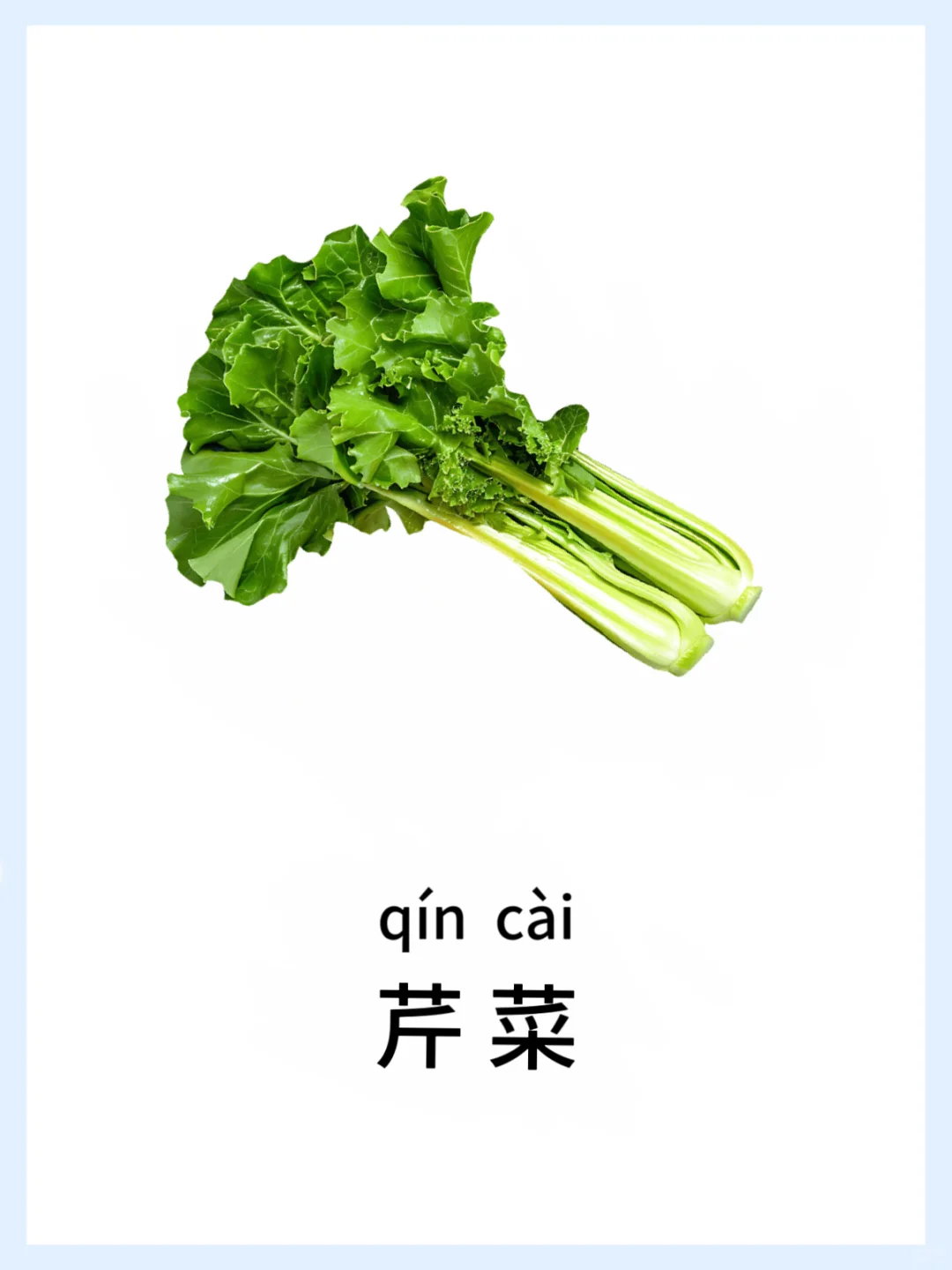 ?宝宝早教启蒙-蔬菜篇，认知小课堂开课啦！