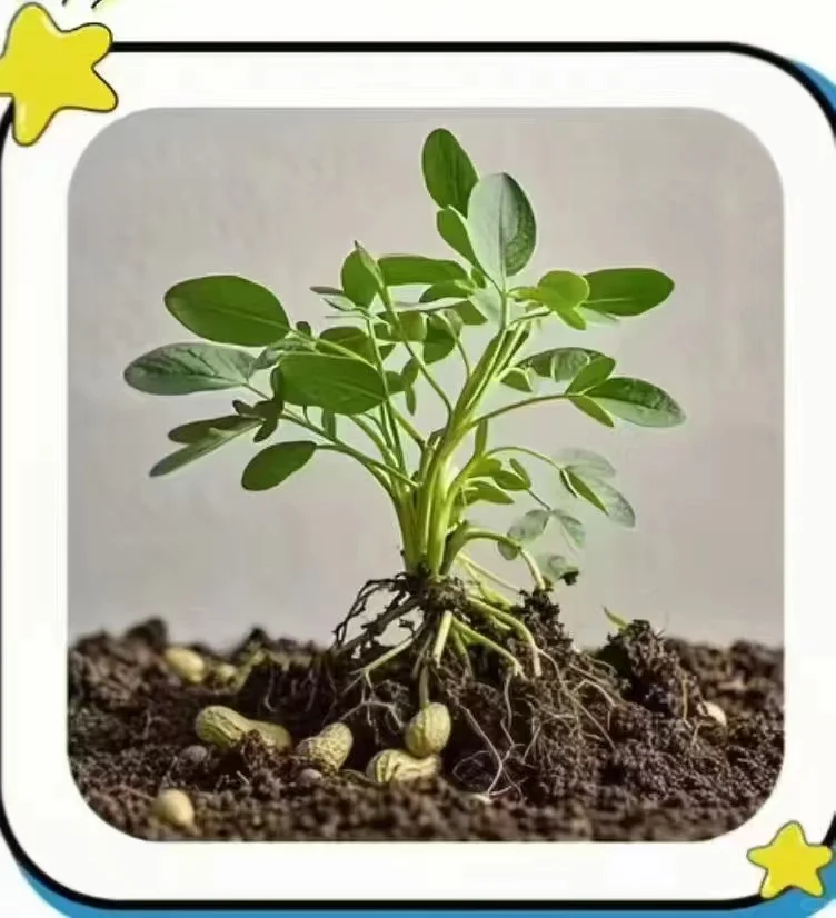 农作物，你能认识几个？？