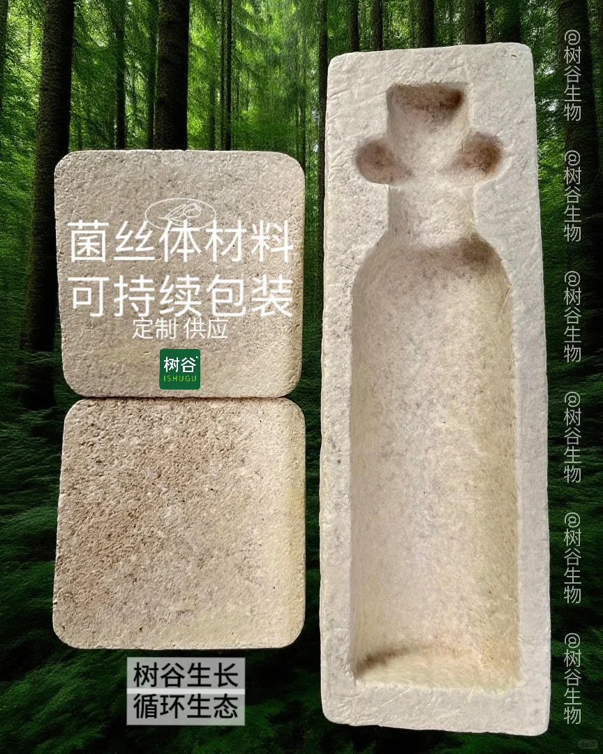 菌丝体材料：真菌赋能的新一代可持续材料♻️
