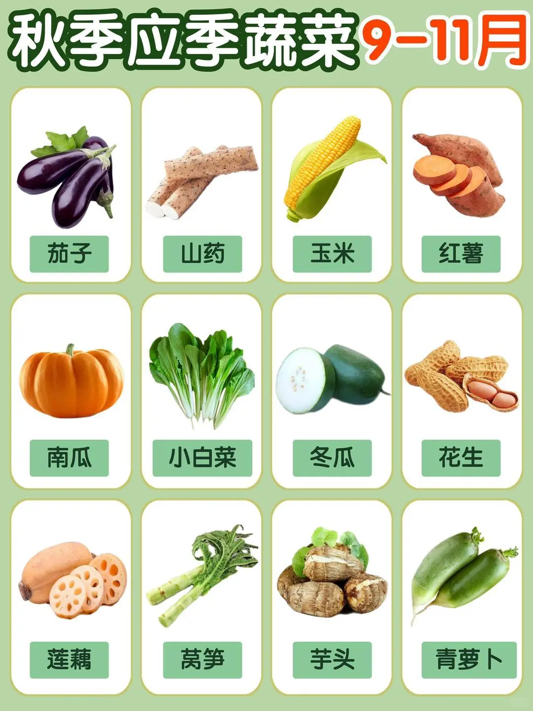 应季蔬菜时间表