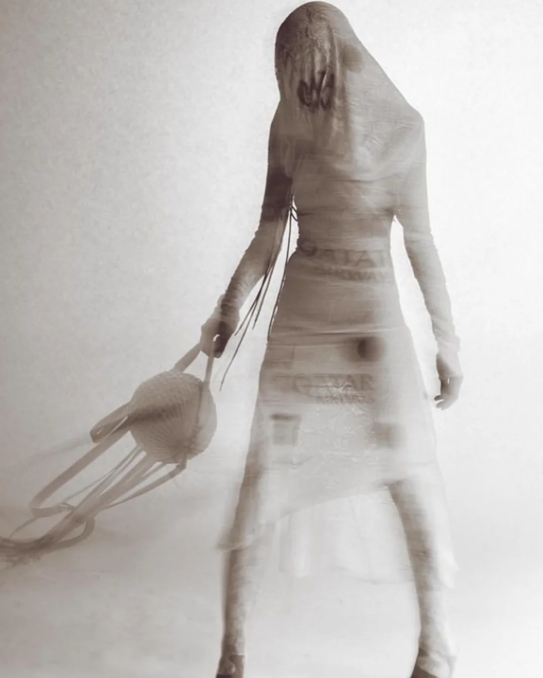 作茧自缚|蝉蛹虫草?️