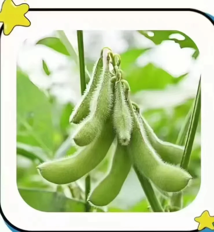 农作物，你能认识几个？？