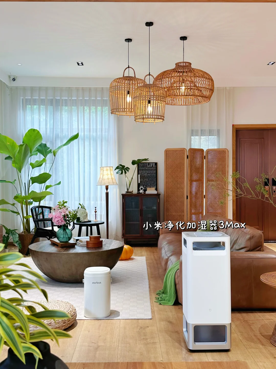 秋冬晨起喉咙干到疼?得先从空气入手