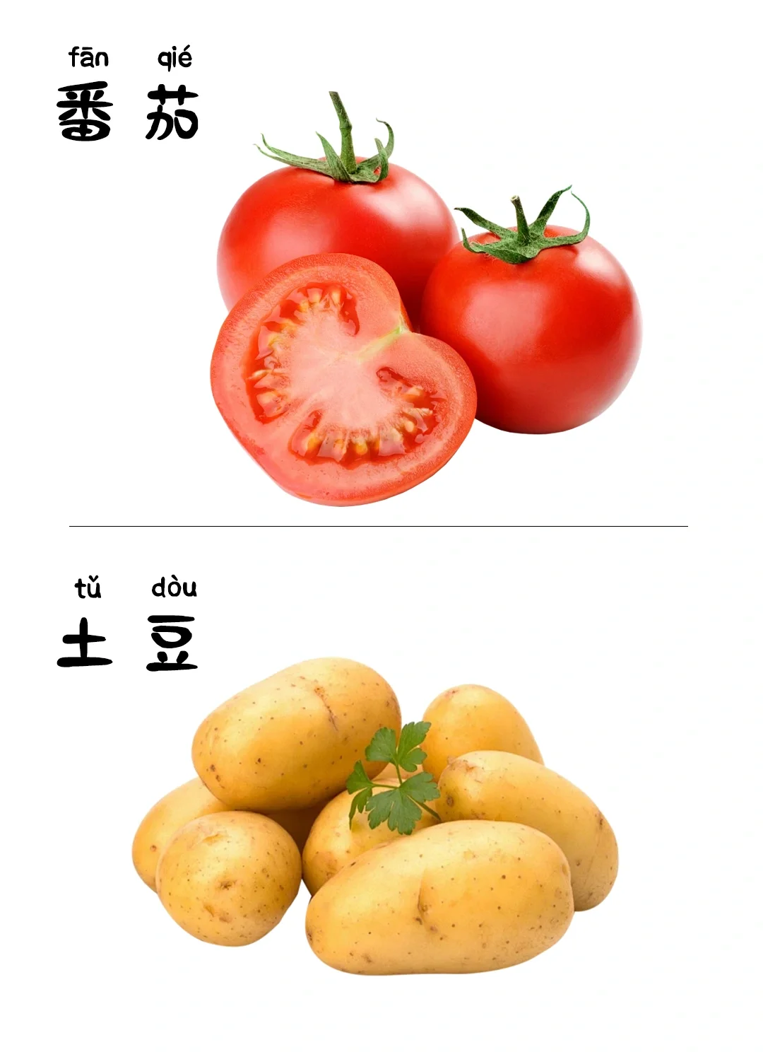 儿童早教启蒙识图-蔬菜