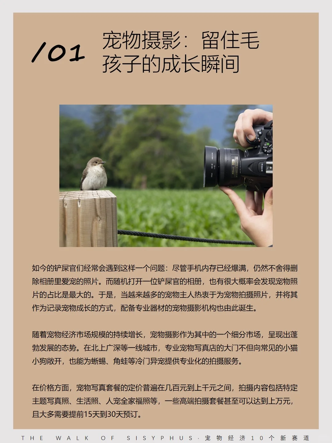 商业洞察｜宠物经济10 个新赛道