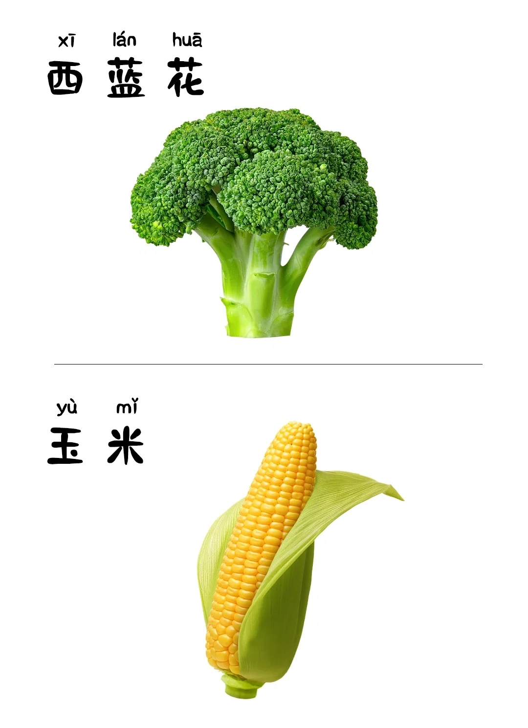 儿童早教启蒙识图-蔬菜