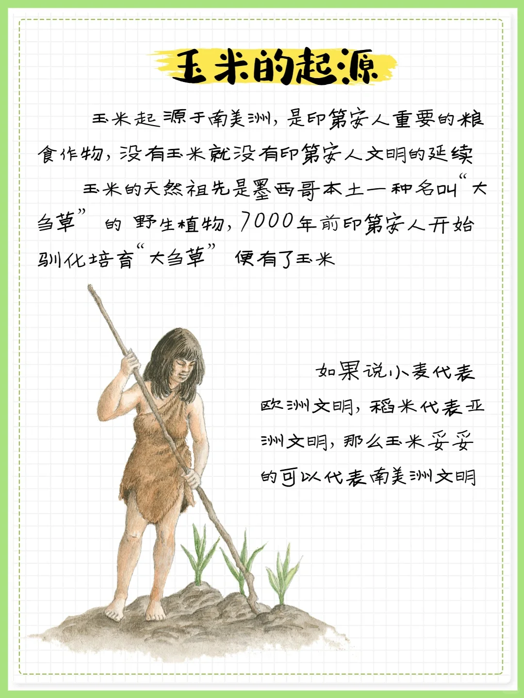 【科普图鉴·玉米】每天收获新知识❗