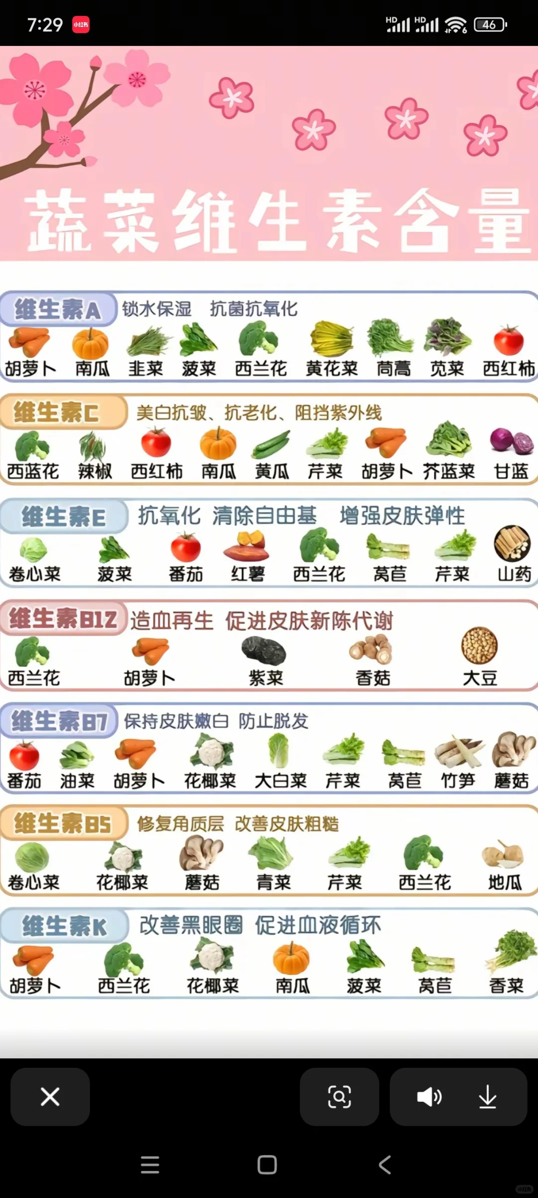 果蔬和蔬菜的维生素含量清单?