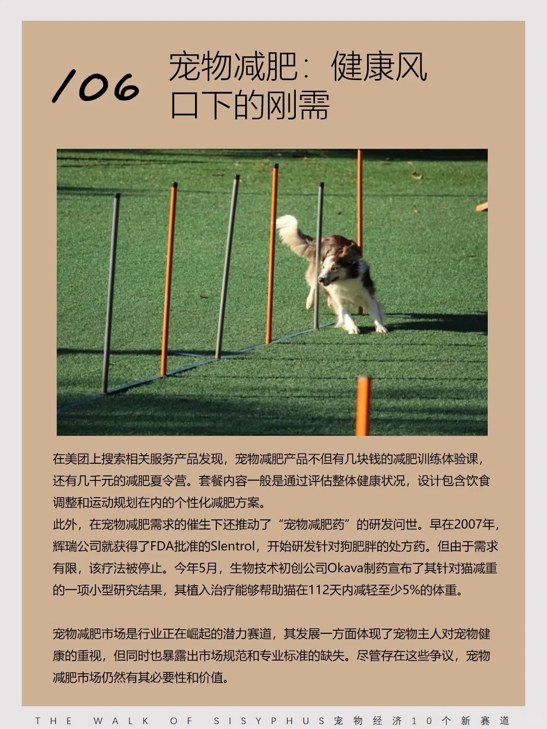 商业洞察｜宠物经济10 个新赛道