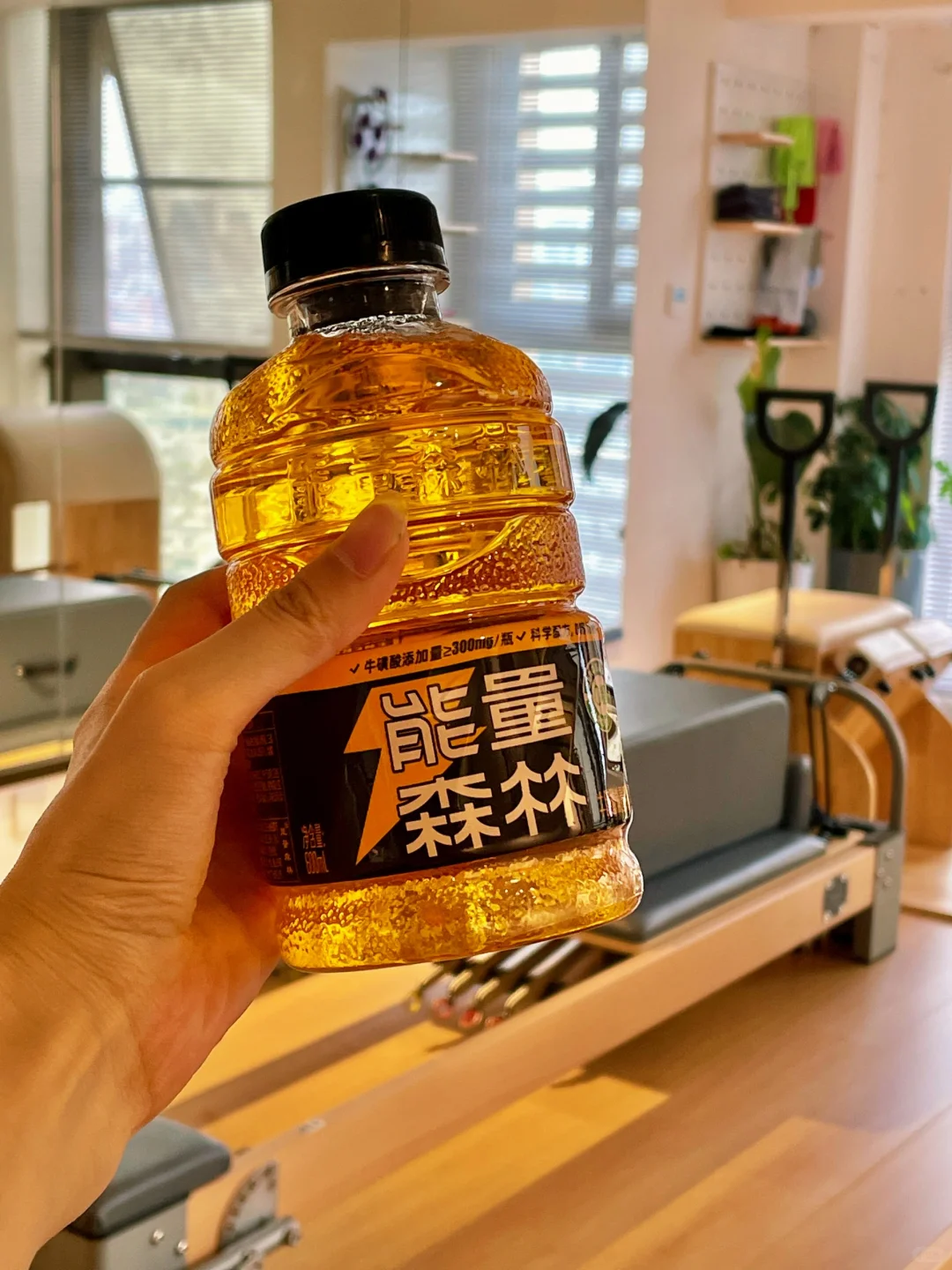 能量森林｜完美地平衡你的健康与活力?