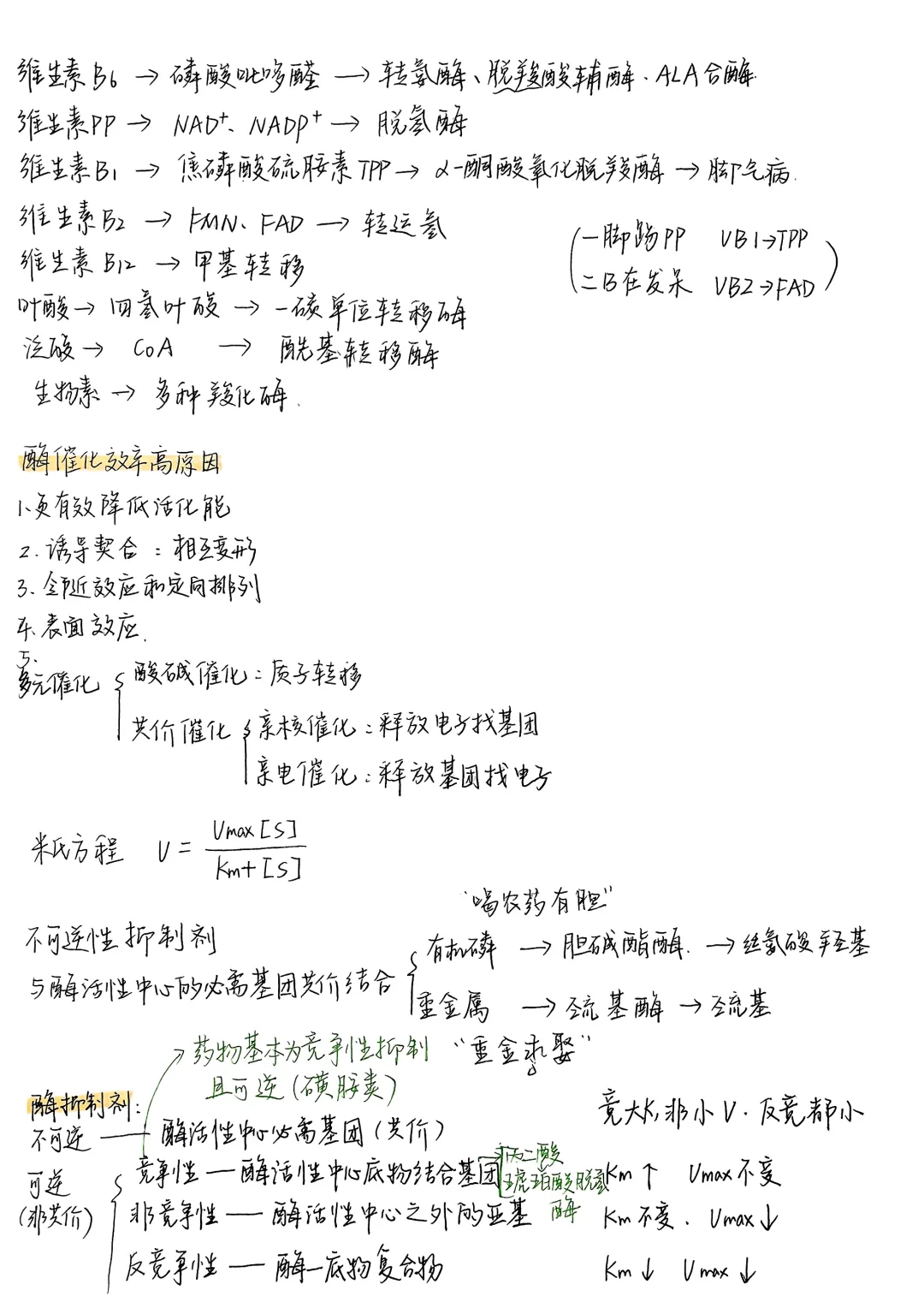 生物化学|笔记合集