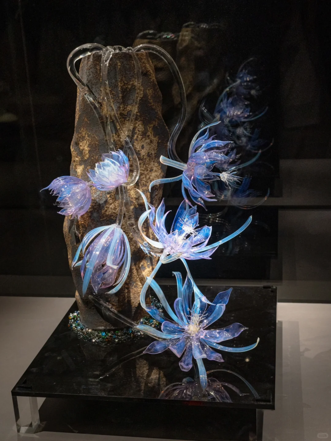 为了看这永不凋零的浪漫，特意来了趟淄博！