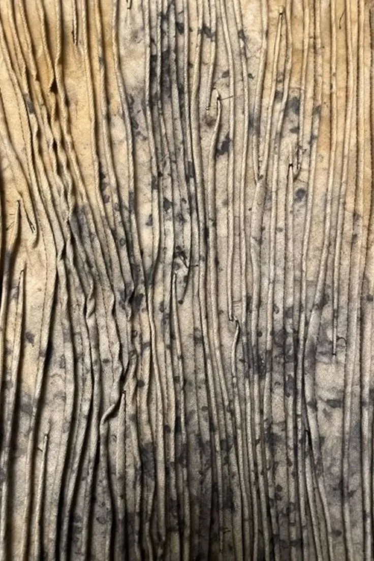 美学分享‖Timelapse