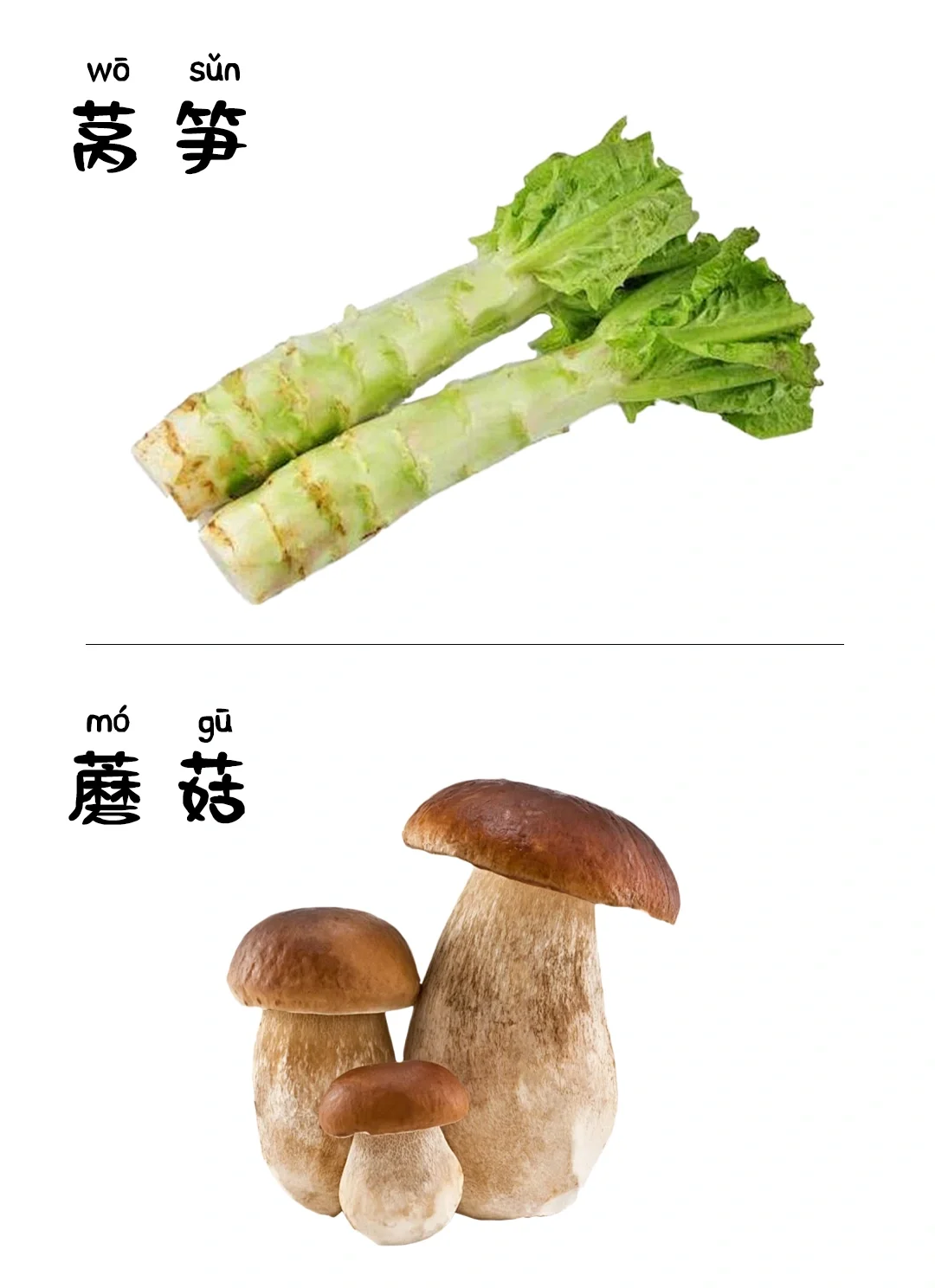 儿童早教启蒙识图-蔬菜
