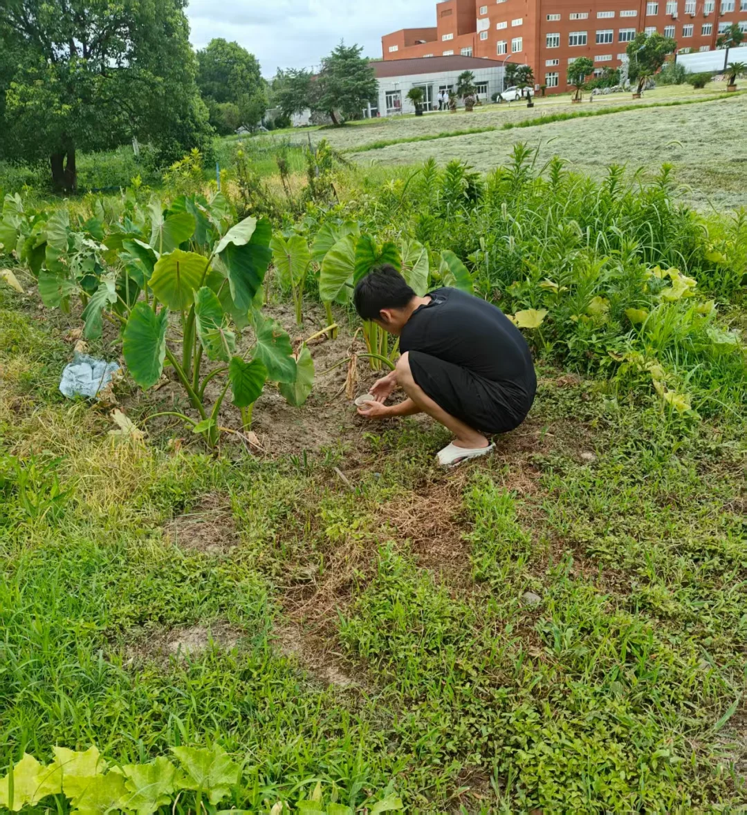 标题:我们的环境调查之旅:探寻身边的水、