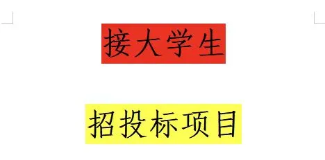 招投项目作业怎么写?