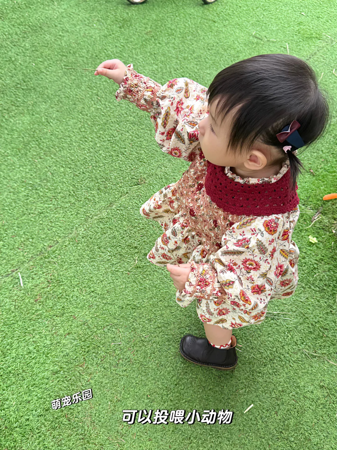 南京周边户外遛娃| 宝藏乐园??放电一整天