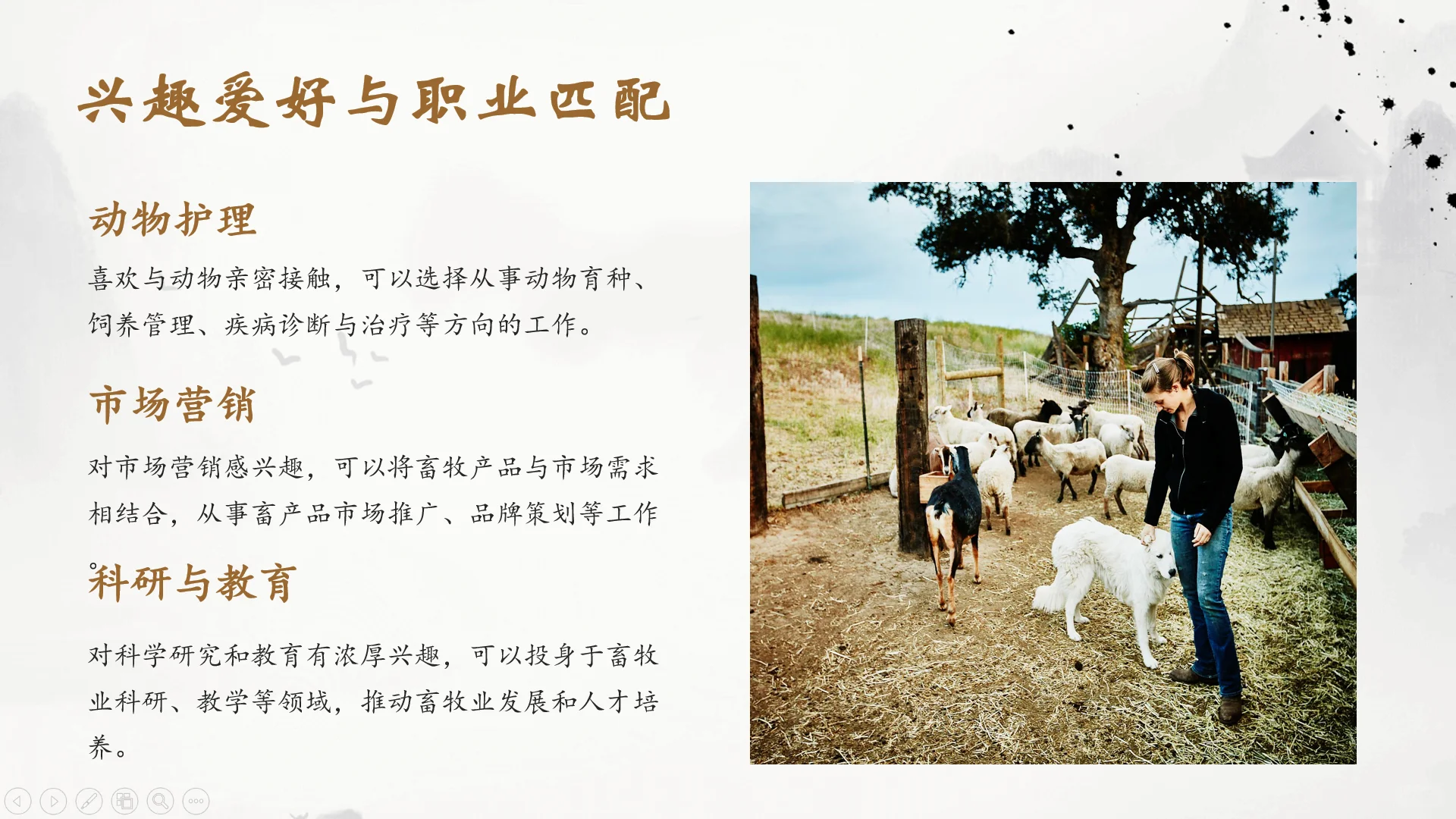 畜牧业职业规划PPT