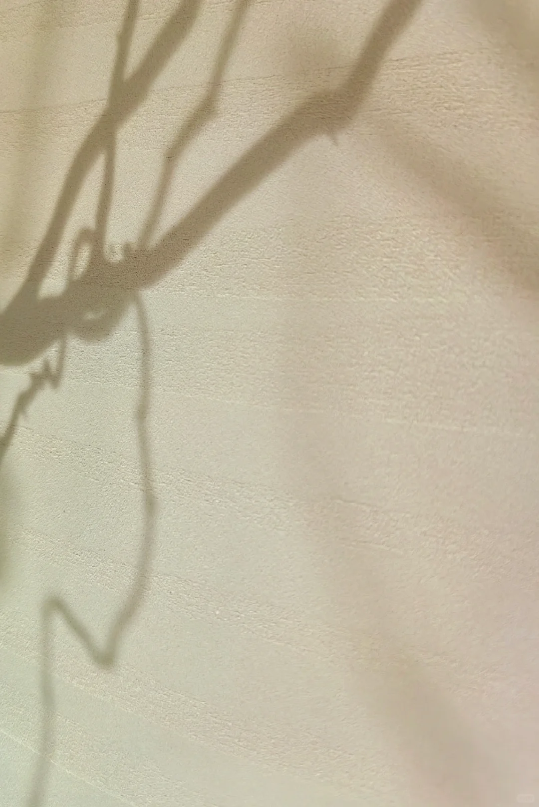 地下室装修中防潮防霉又有肌理感的墙面涂料