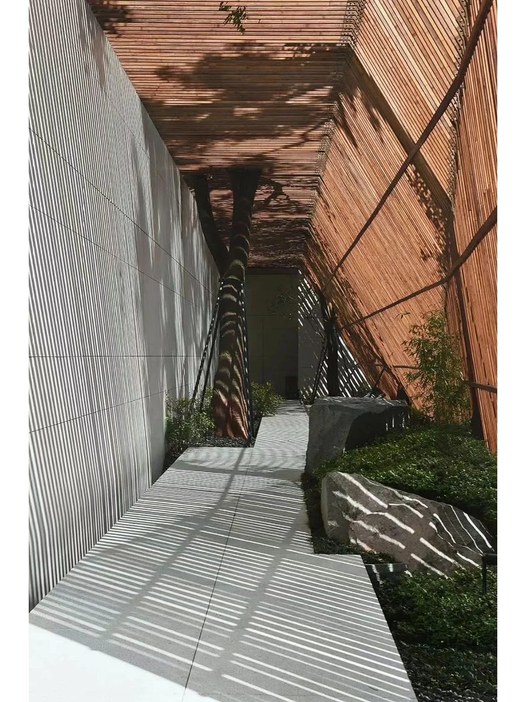 看似像木，用似像钢—竹钢