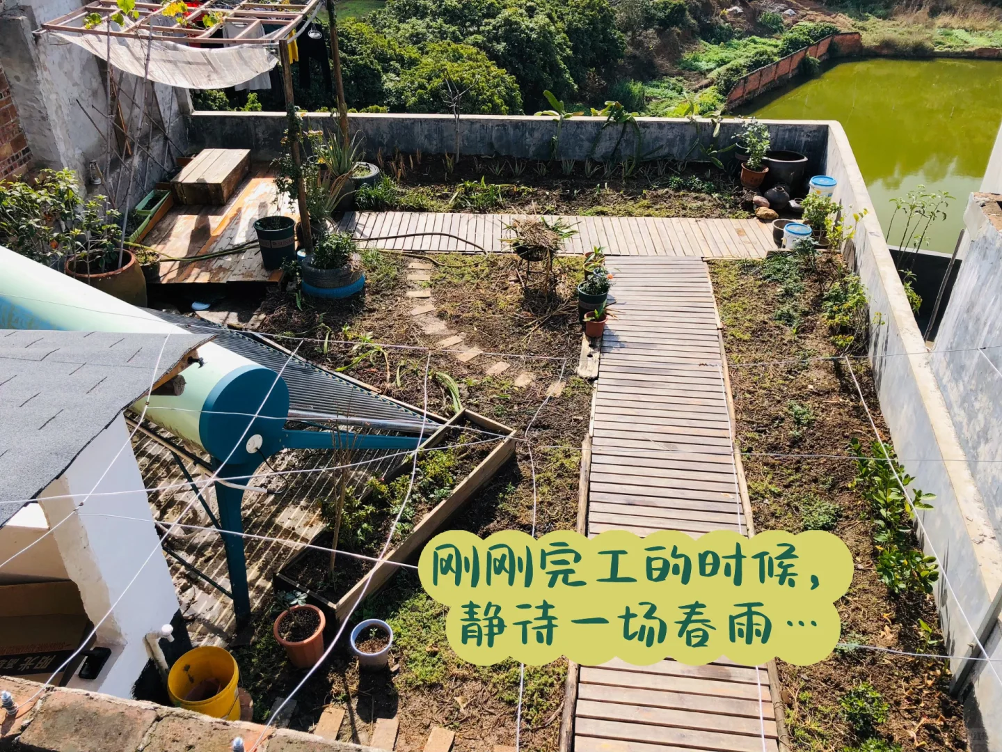 为了补漏防水隔热，我做了个楼顶花园