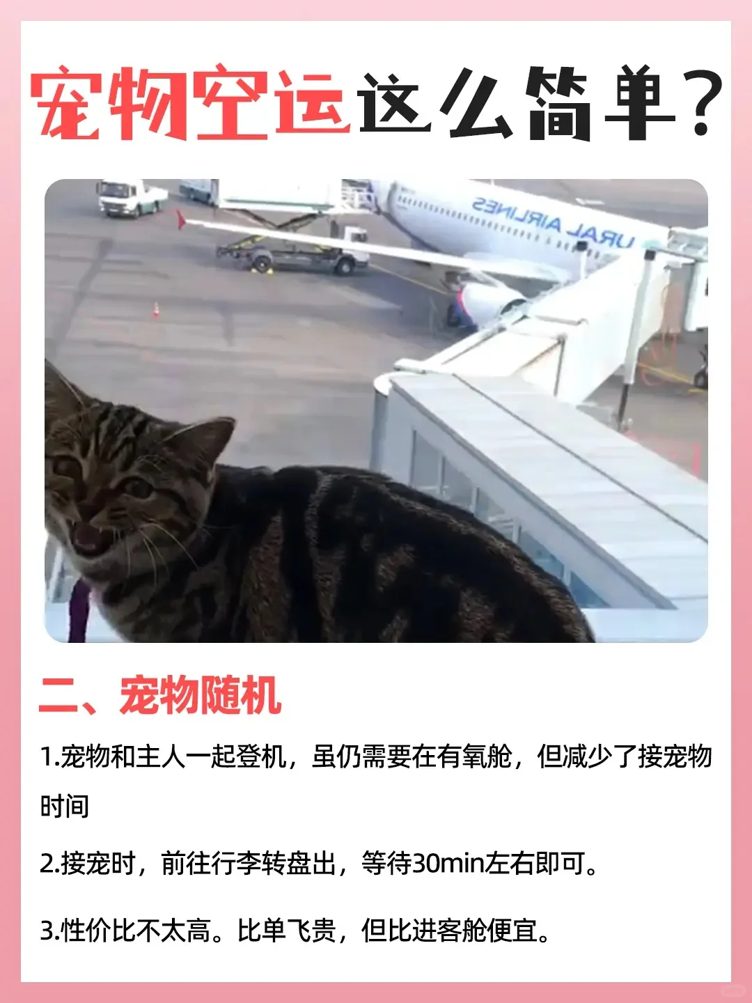 求求了?巨靠谱宠物空运攻略‼️