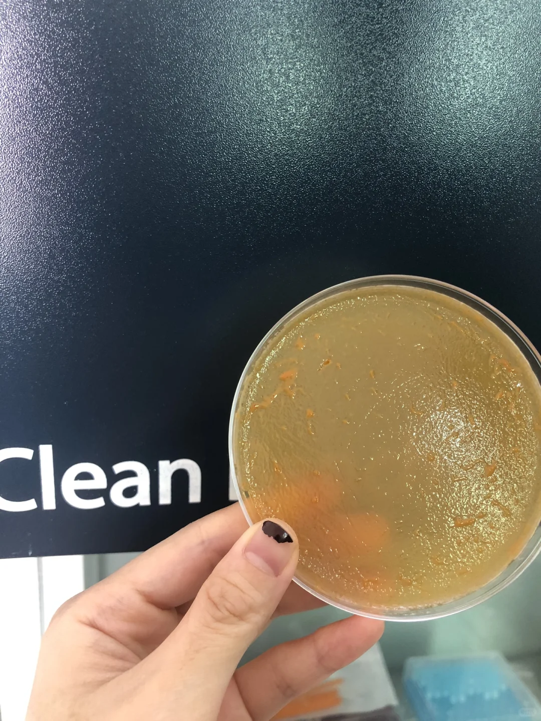 爸妈发家史之养殖业(1)