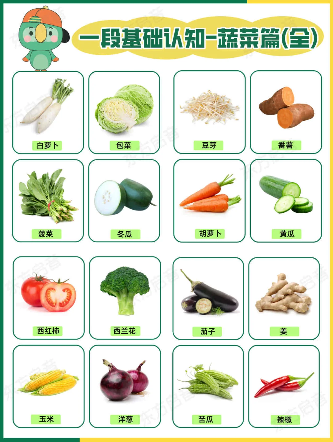 ?自闭症宝宝一段基础认知｜蔬菜篇（全）?