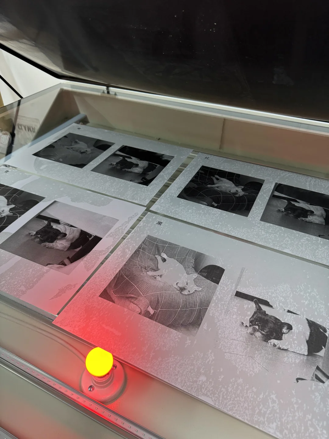 这照片的质感是自己能印出来的?！？