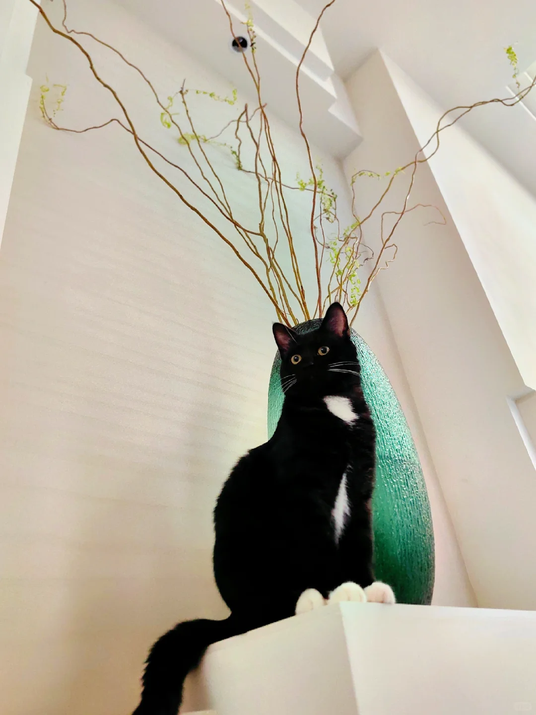 地下室装修中防潮防霉又有肌理感的墙面涂料