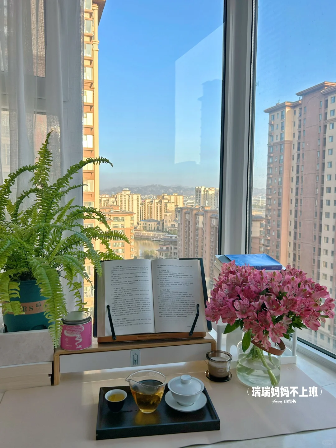 36岁,家是我的能量场,独处是灵魂的充电站✨