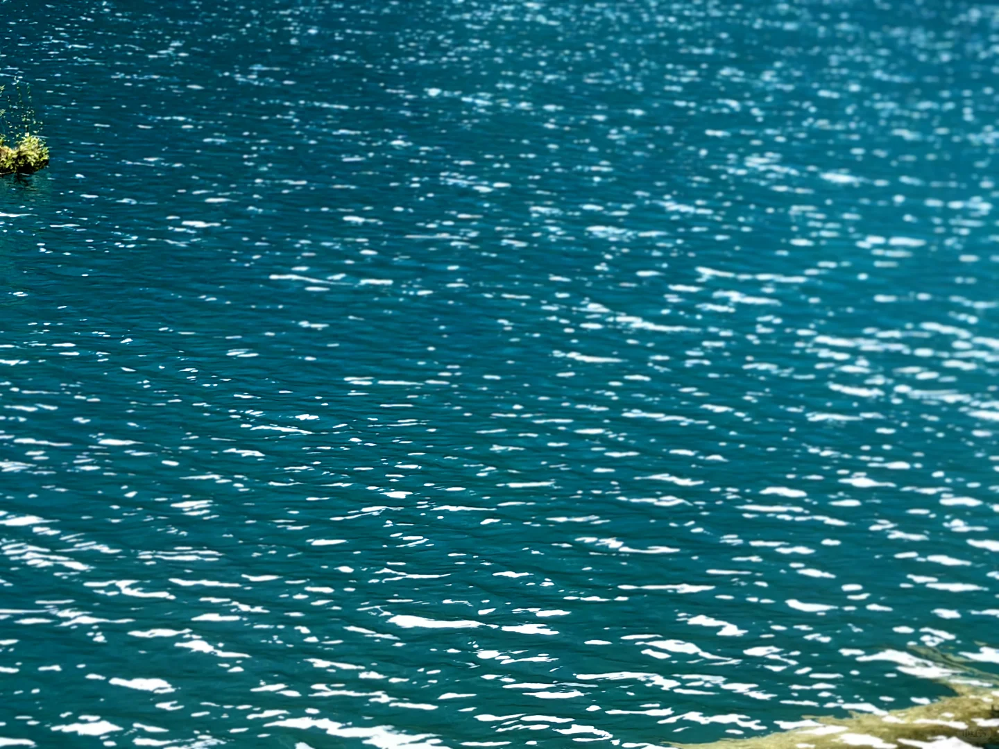 外省周末往返九寨沟特种兵攻略