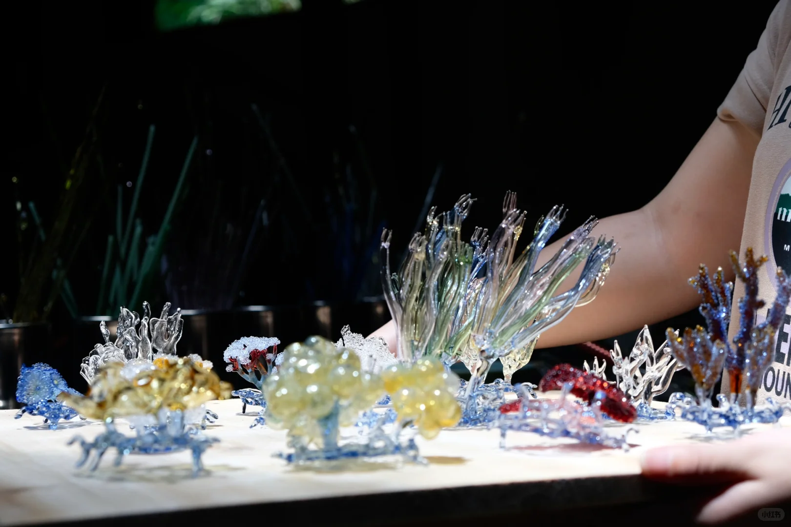 拯救粑粑计划！！！??