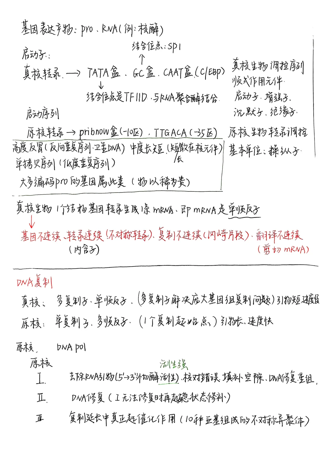 生物化学|笔记合集