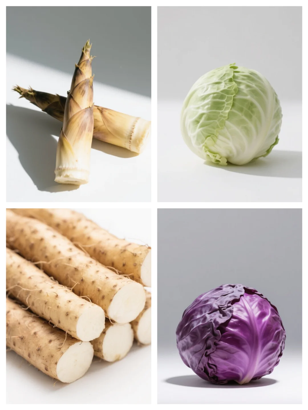 基础认知丨蔬菜?打印