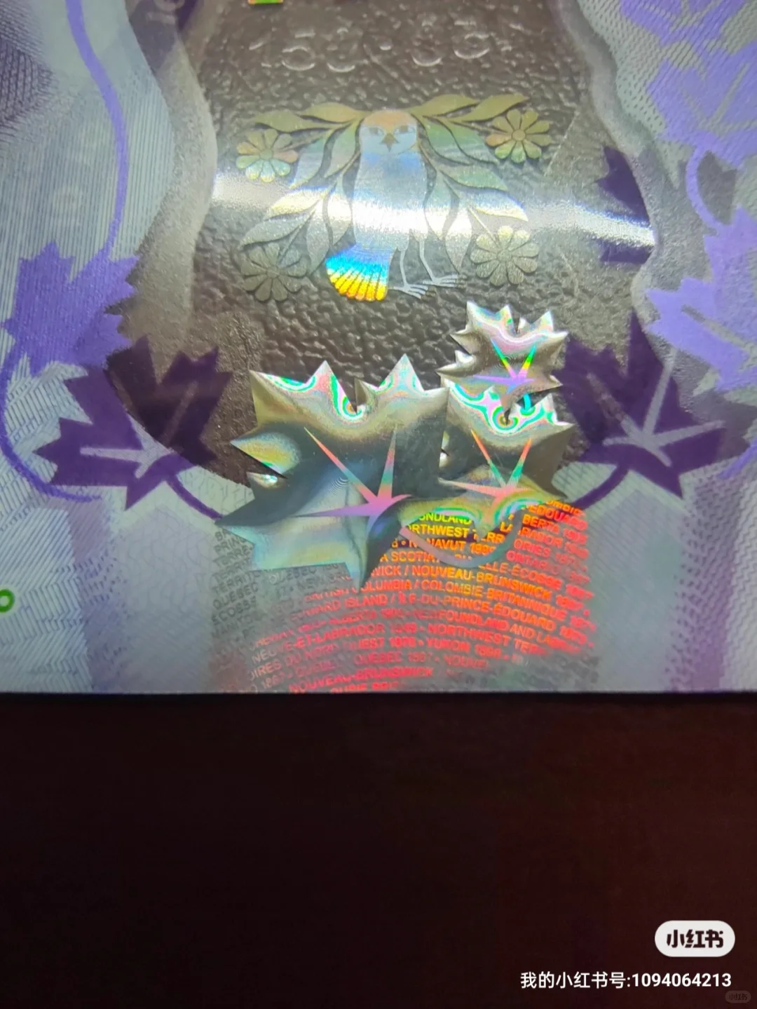 钞票上的防伪之（全息）