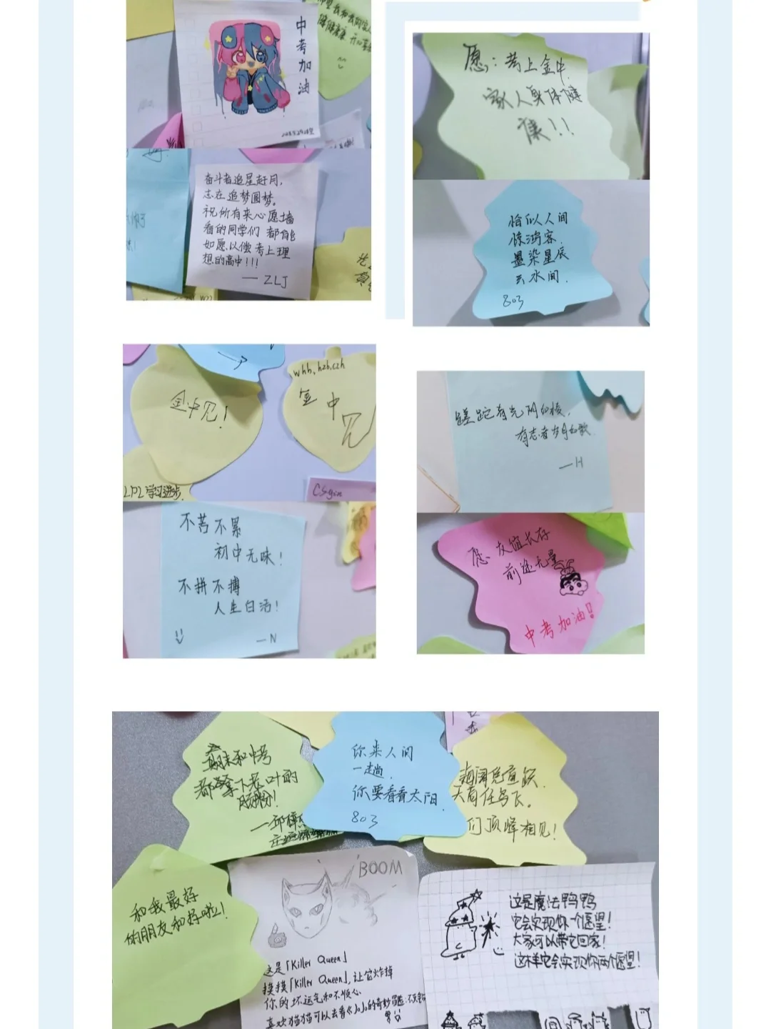 525心理健康活动月小总结(2023)