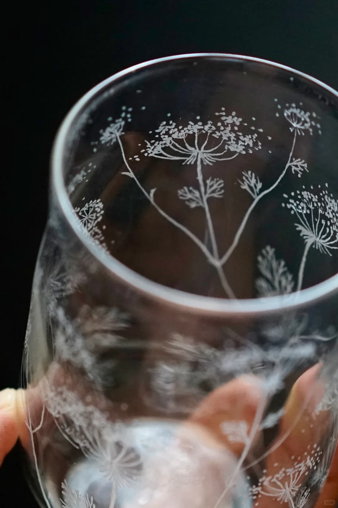 陶瓷太倦 明年换个赛道吧