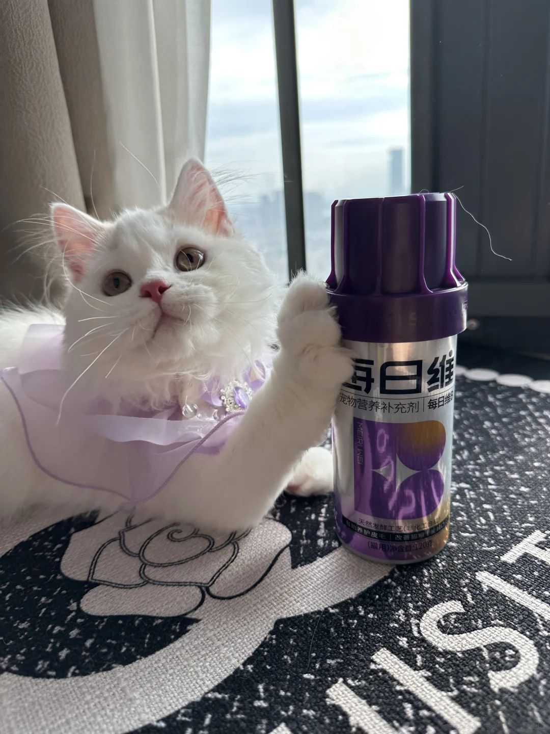 猫咪需要补充维生素b吗